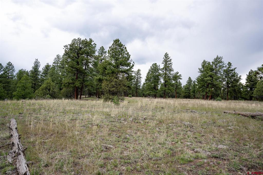 2615 Echo Canyon Ranch Lane Property Photo 18