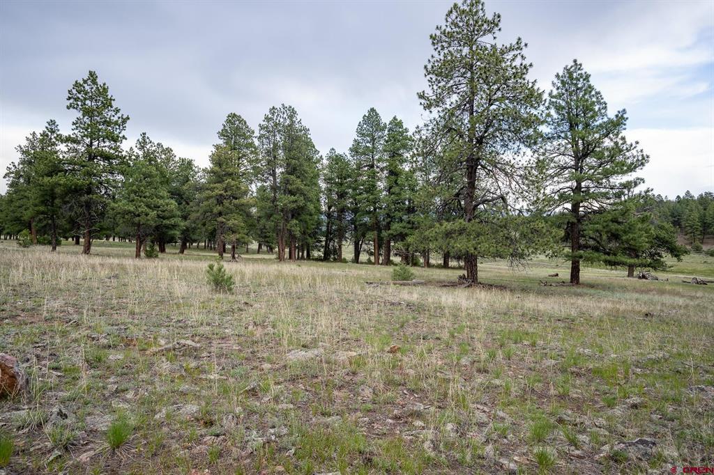 2615 Echo Canyon Ranch Lane Property Photo 19