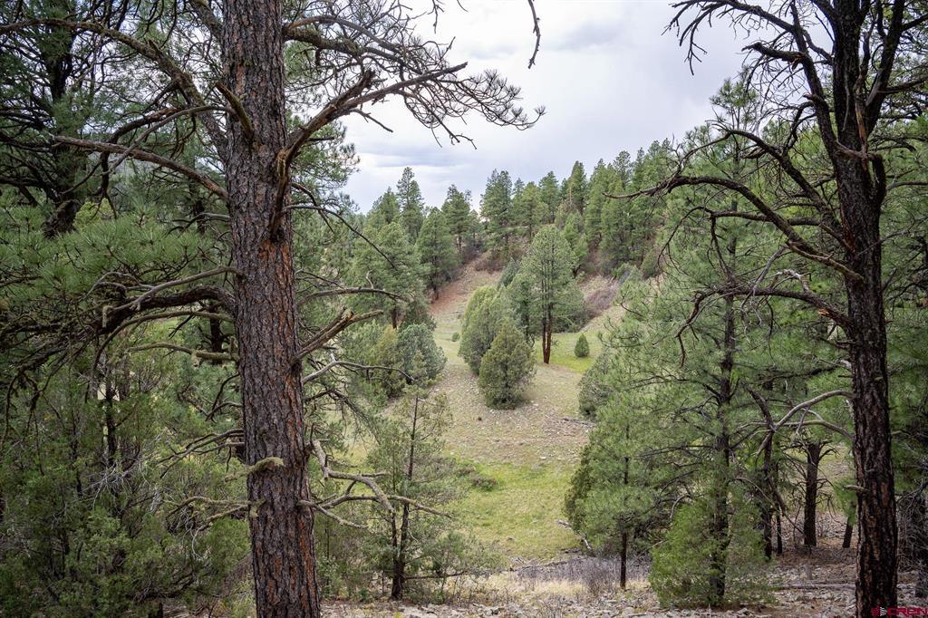 2615 Echo Canyon Ranch Lane Property Photo 20