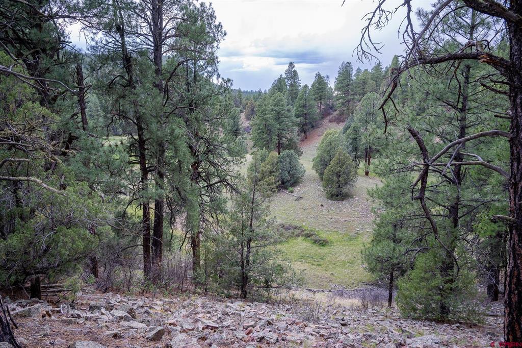 2615 Echo Canyon Ranch Lane Property Photo 21