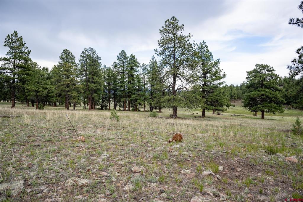 2615 Echo Canyon Ranch Lane Property Photo 22