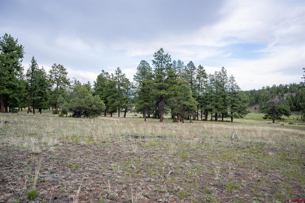 2615 Echo Canyon Ranch Lane Property Photo 23