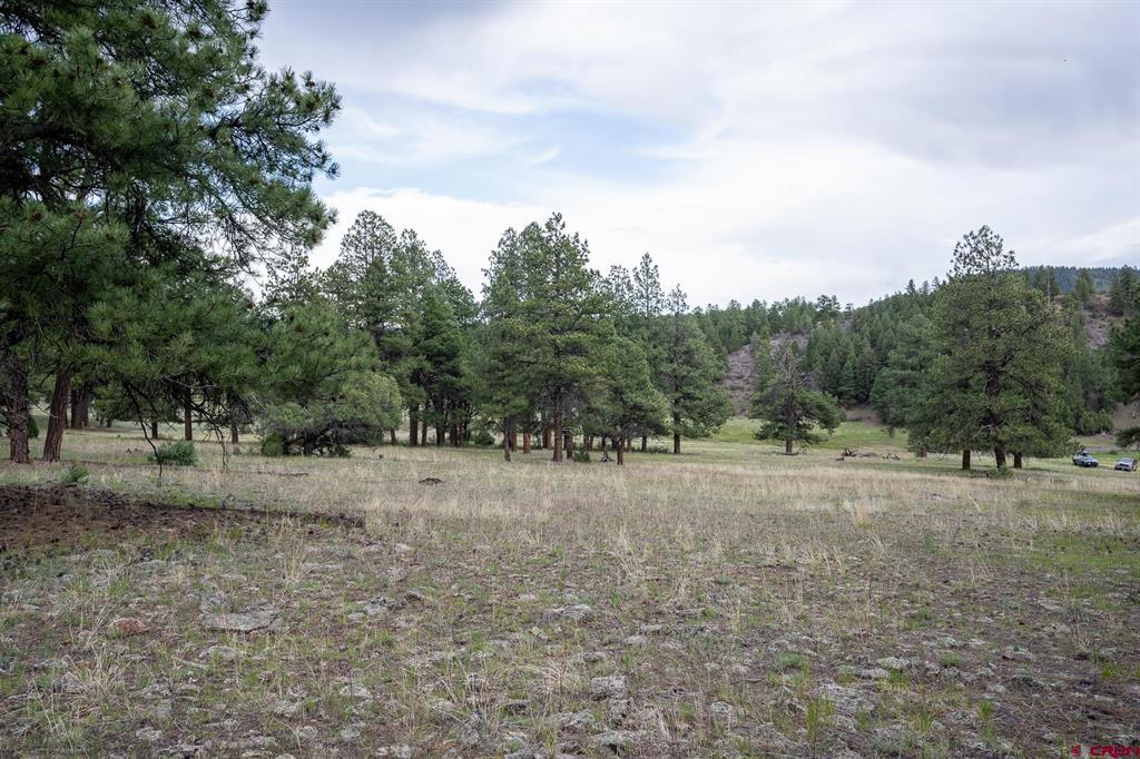 2615 Echo Canyon Ranch Lane Property Photo 24