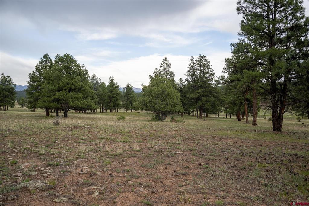 2615 Echo Canyon Ranch Lane Property Photo 26