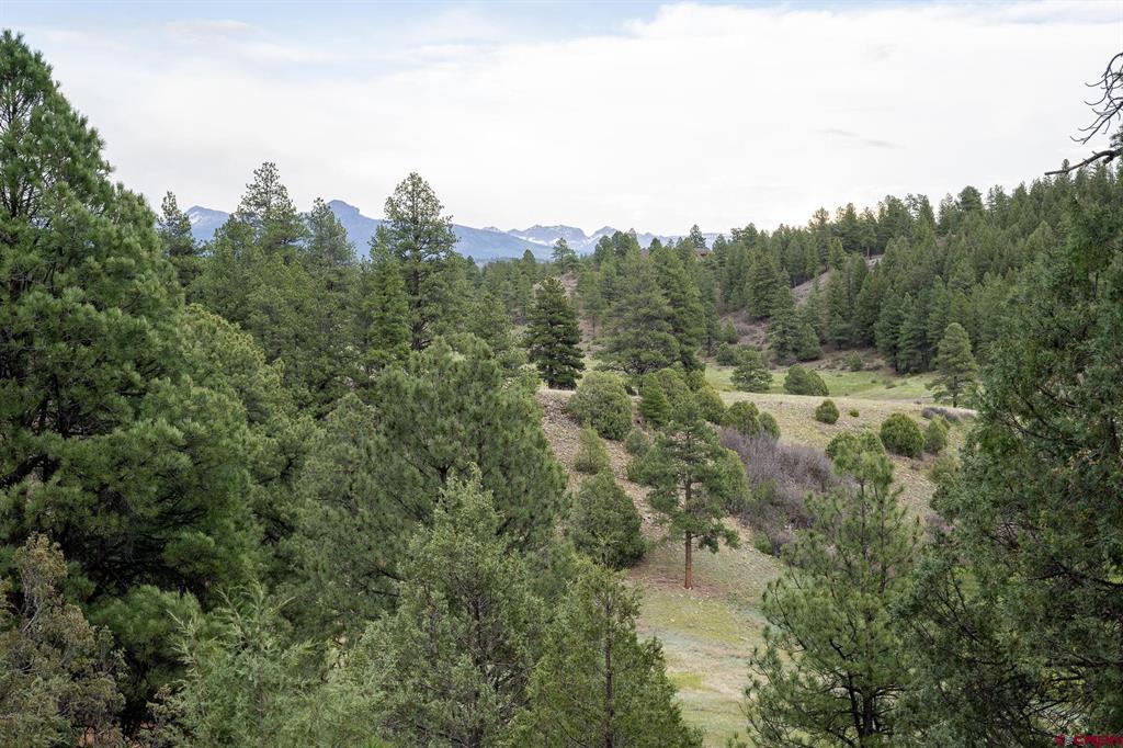 2615 Echo Canyon Ranch Lane Property Photo 28