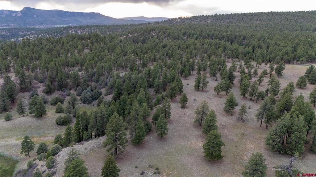 2615 Echo Canyon Ranch Lane Property Photo 30