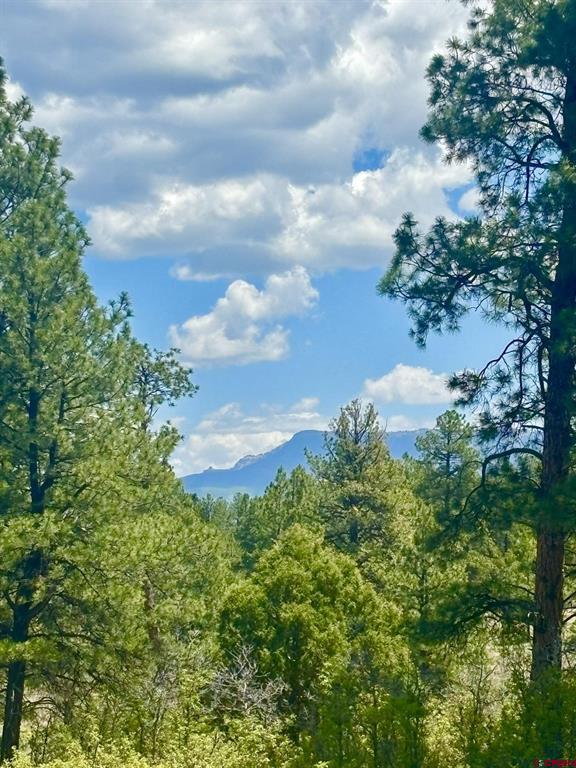 60 Fisher Canyon Drive Property Photo 1
