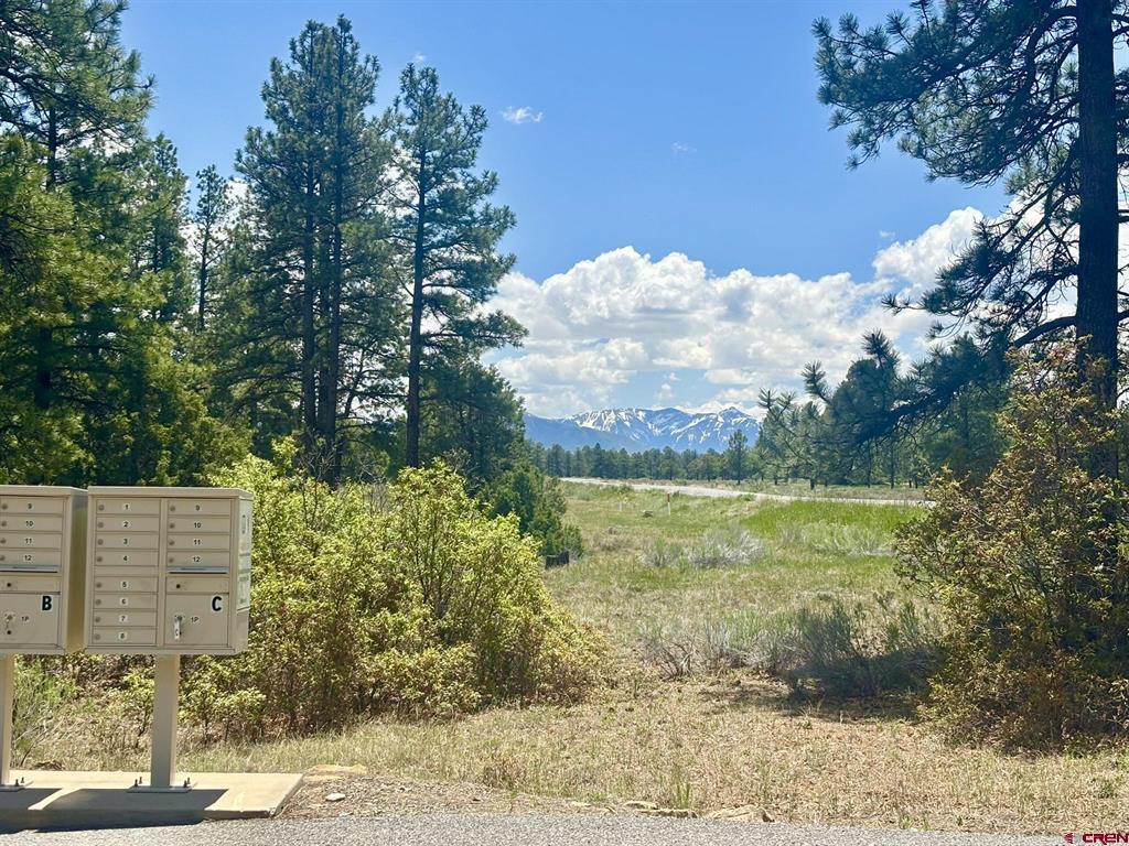 60 Fisher Canyon Drive Property Photo 3