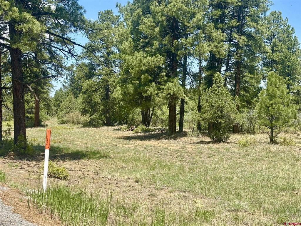 60 Fisher Canyon Drive Property Photo 4