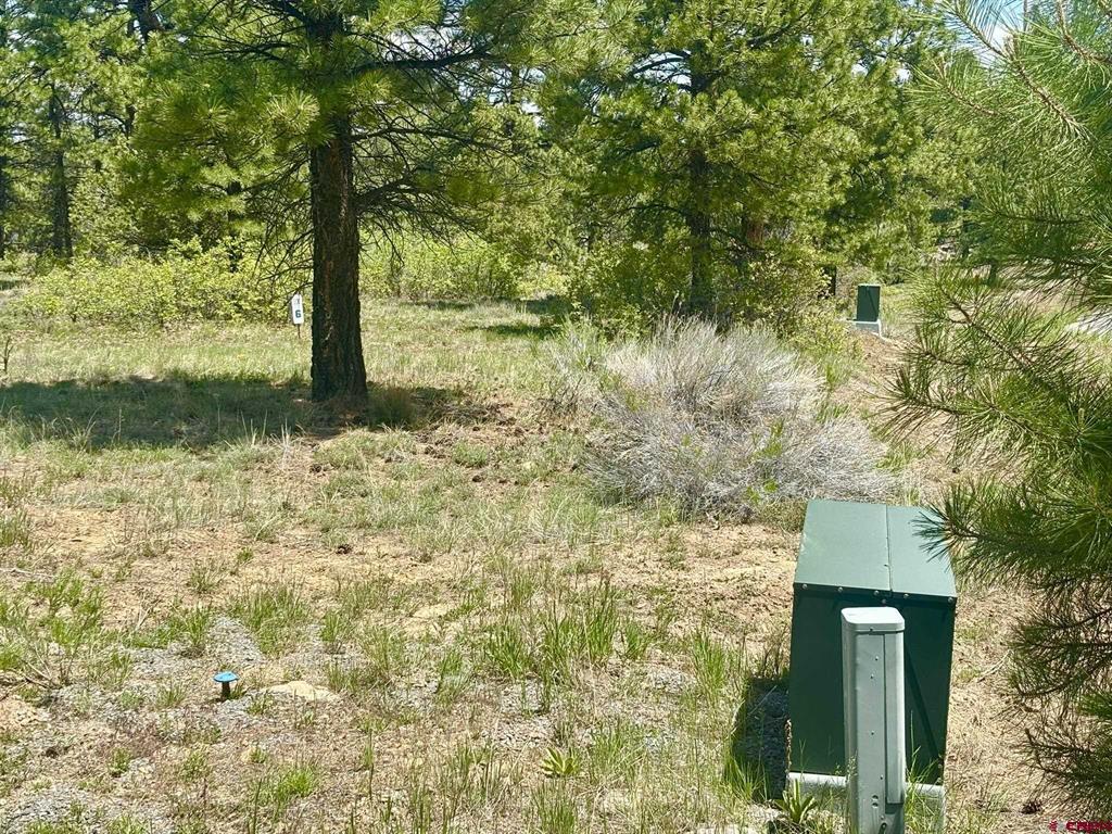 60 Fisher Canyon Drive Property Photo 5