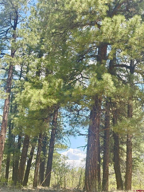 60 Fisher Canyon Drive Property Photo 8