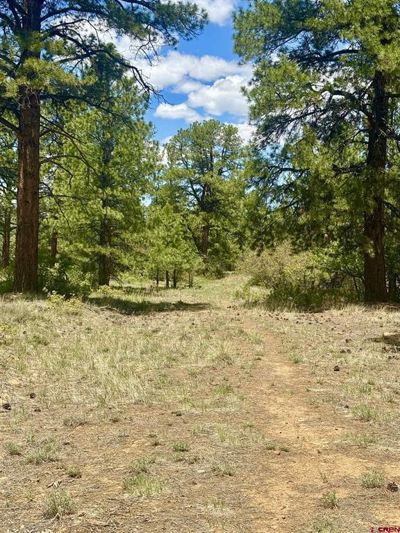 60 Fisher Canyon Drive Property Photo 9