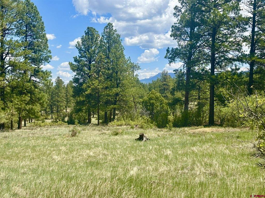 60 Fisher Canyon Drive Property Photo 10