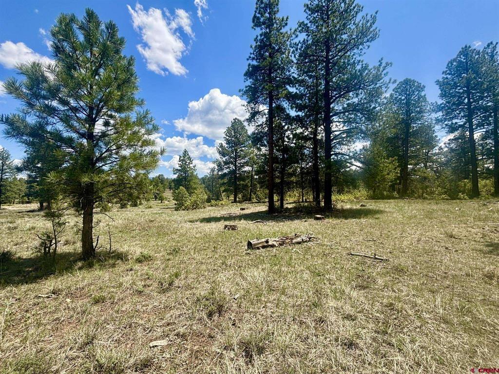 60 Fisher Canyon Drive Property Photo 11