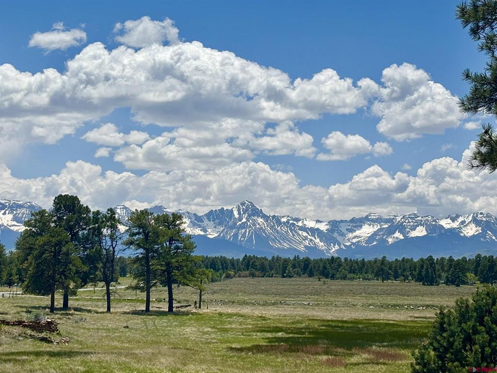 60 Fisher Canyon Drive Property Photo 13