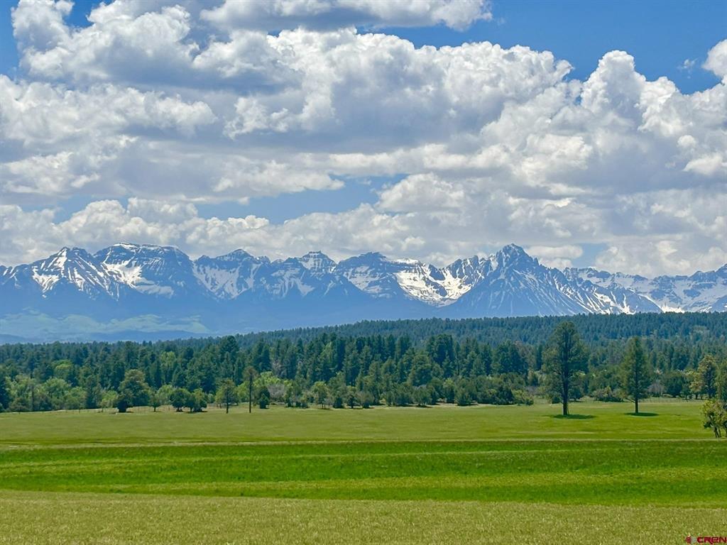 60 Fisher Canyon Drive Property Photo 14