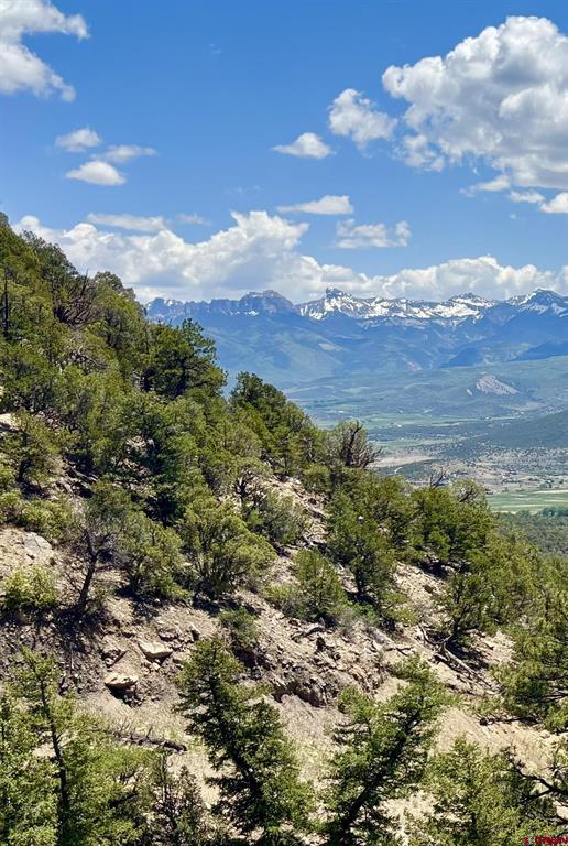 60 Fisher Canyon Drive Property Photo 19