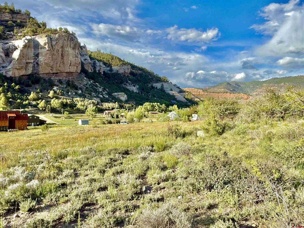 Tbd Lee Property Photo 1