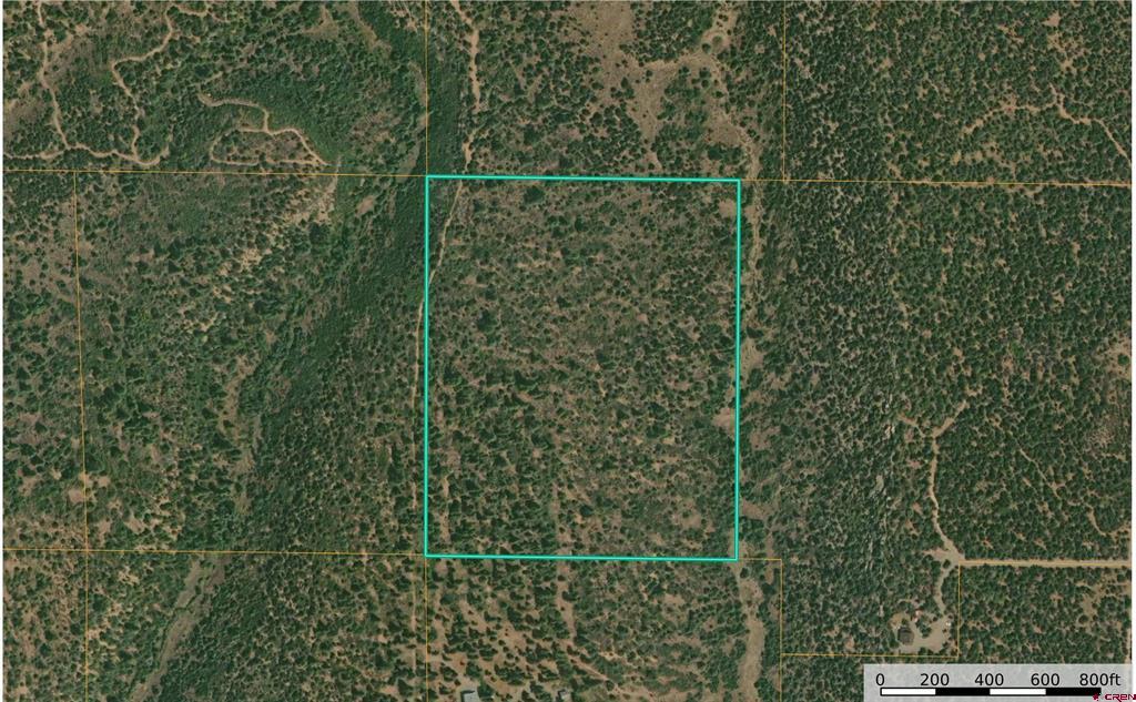 35 Acres Wild Poppy Road Property Photo 1