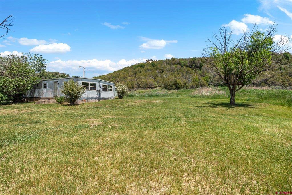 1088 County Road 214 Property Photo 6