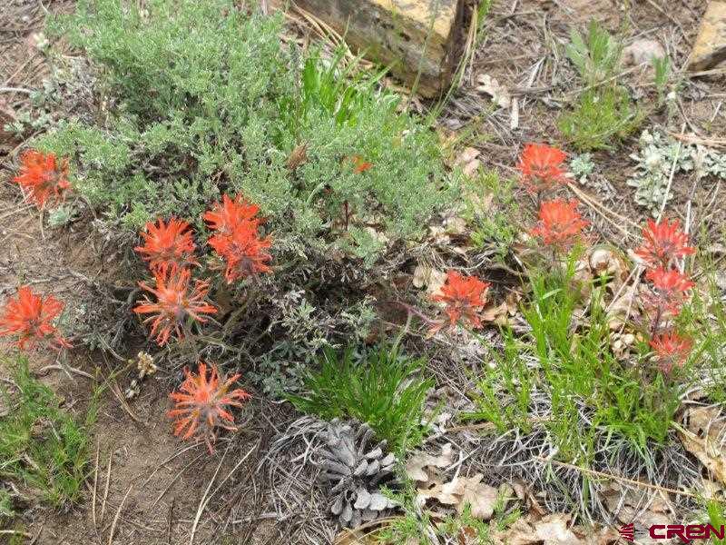 Tbd Peninsula Drive Property Photo 2