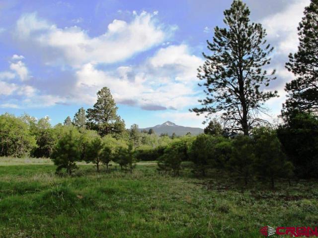 Tbd Peninsula Drive Property Photo 3