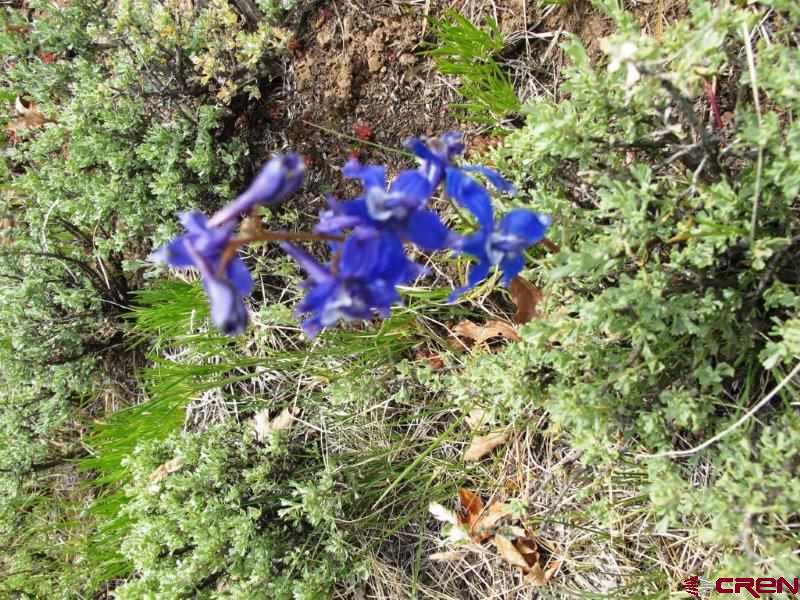 Tbd Peninsula Drive Property Photo 5