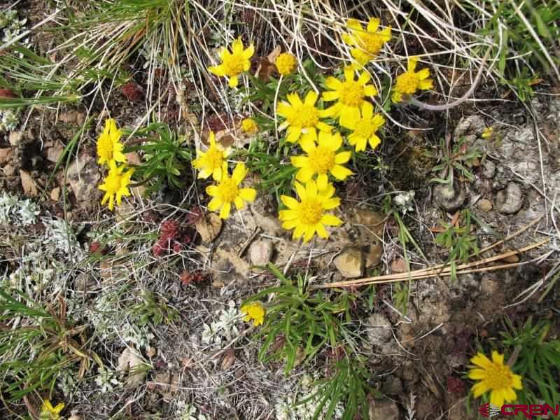 Tbd Peninsula Drive Property Photo 7