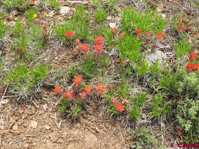 Tbd Peninsula Drive Property Photo 9