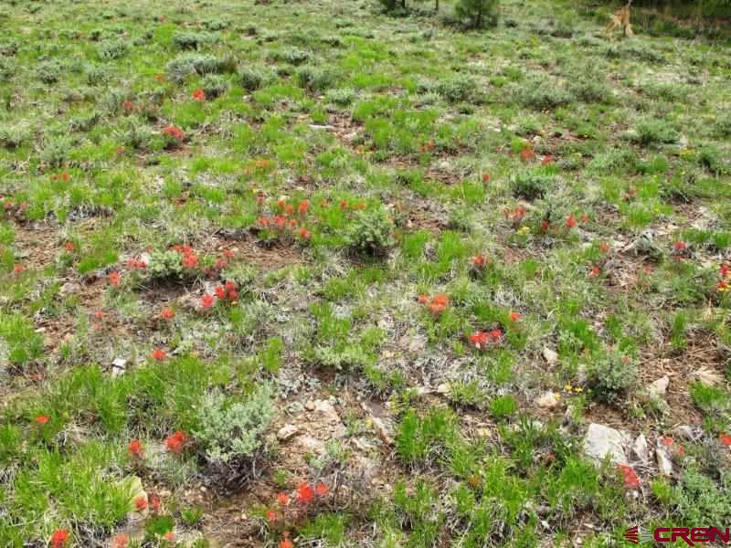 Tbd Peninsula Drive Property Photo 12