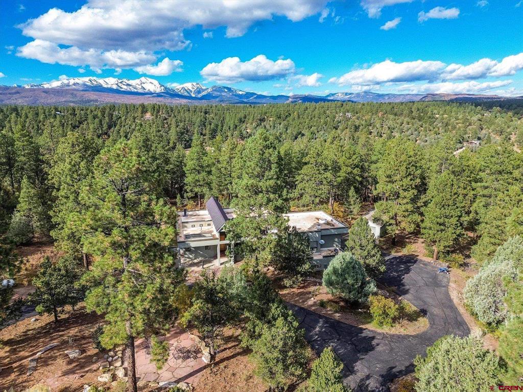 152 Peak Trail Drive Property Photo 44