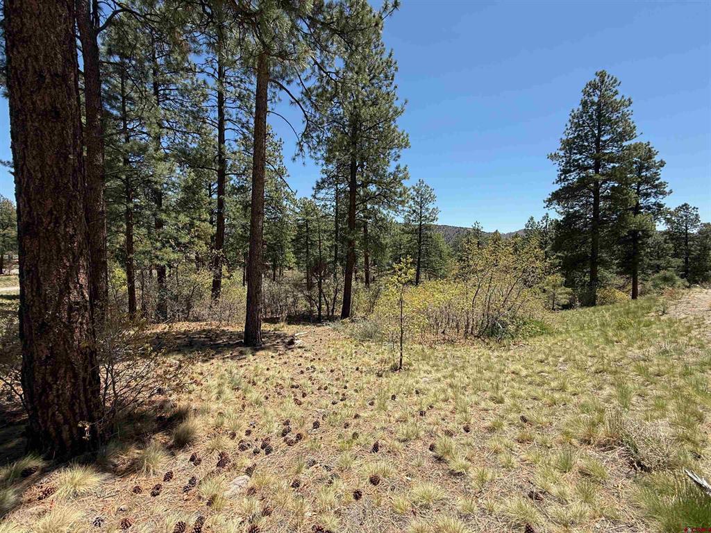 Tbd Ventana Pass Property Photo 1