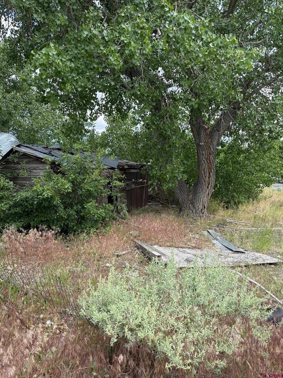 815 Andreo Street Property Photo 7
