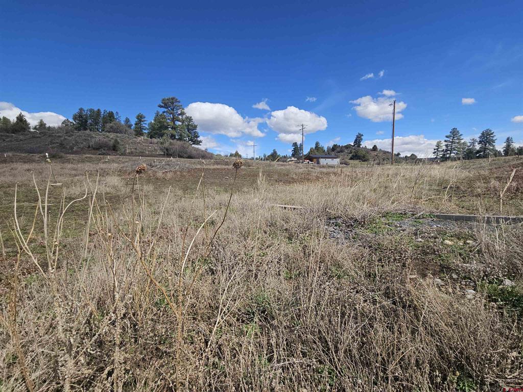 736 Hurt Drive Property Photo 8