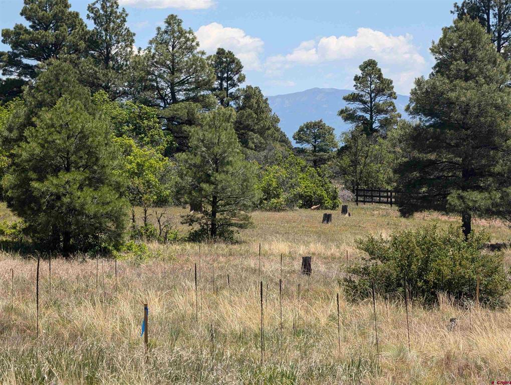 16 Mansions Circle Property Photo 1