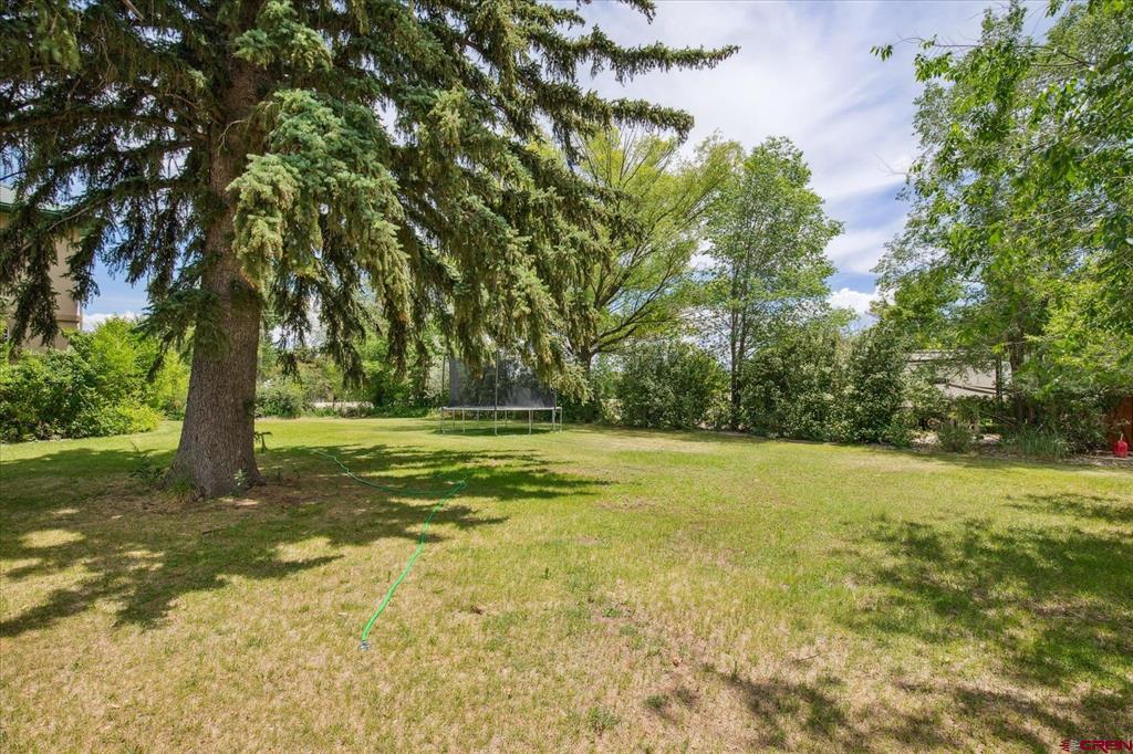 16931 Highway 491 Property Photo 5