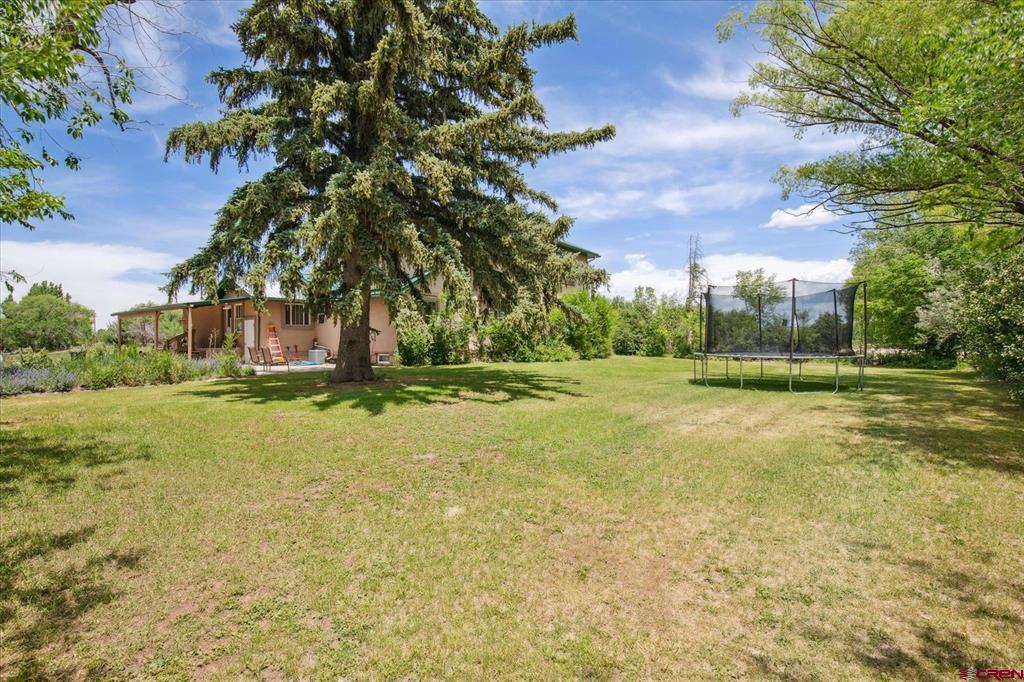 16931 Highway 491 Property Photo 6