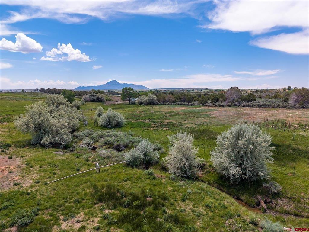 16931 Highway 491 Property Photo 33