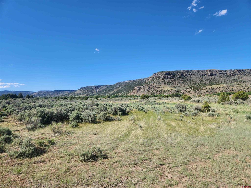Lot 11 Conejos River Trails Property Photo 1