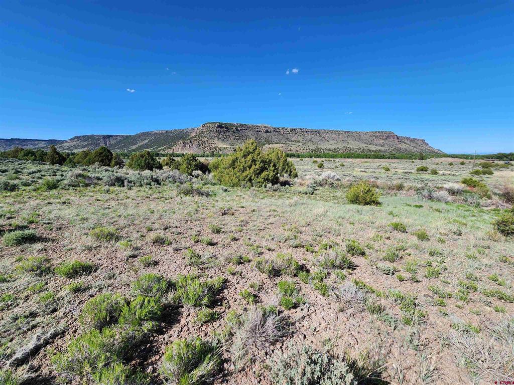 Lot 10 Conejos River Trails