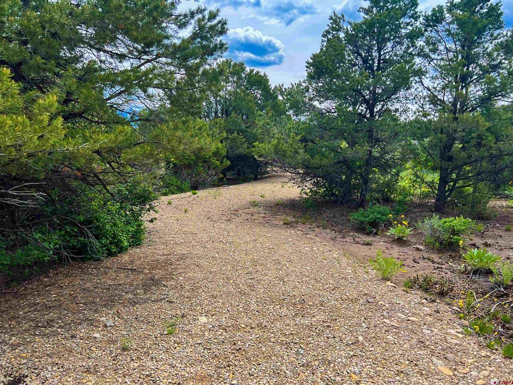 818 Pine Drive Property Photo 14