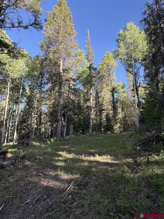 449 Ute Drive Property Photo 2