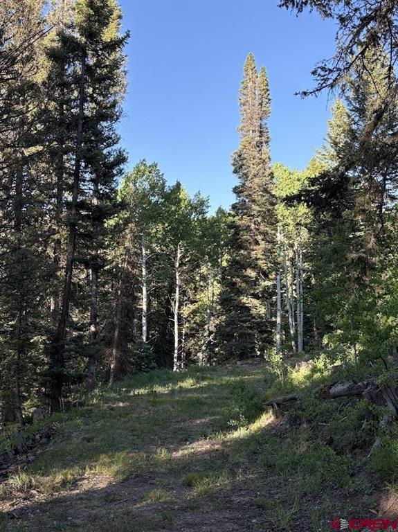 449 Ute Drive Property Photo 3