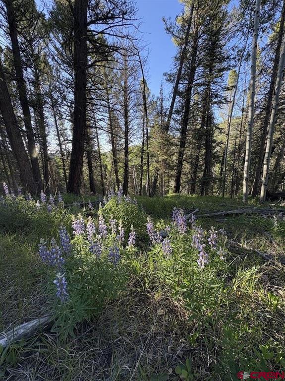 449 Ute Drive Property Photo 4