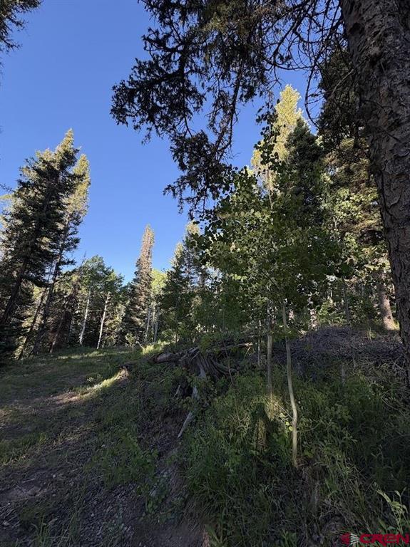 449 Ute Drive Property Photo 5