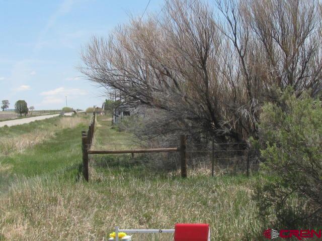 45 Country Meadows Place Property Photo 5