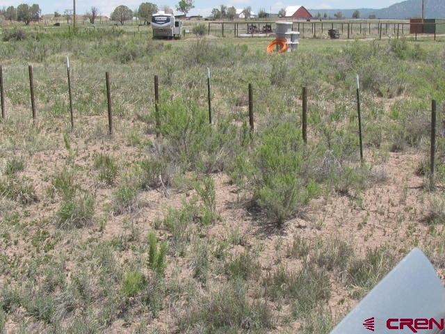 45 Country Meadows Place Property Photo 9
