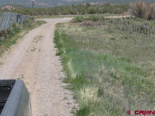 45 Country Meadows Place Property Photo 10