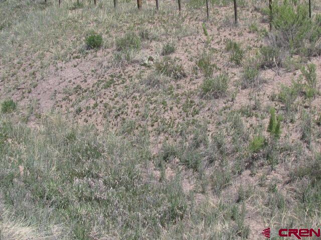45 Country Meadows Place Property Photo 11
