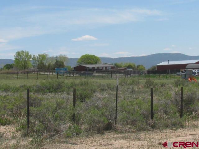 45 Country Meadows Place Property Photo 15